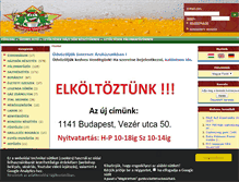 Tablet Screenshot of hazisor.com
